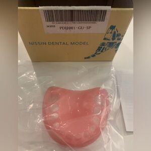 Nissin Dental Model set of 3